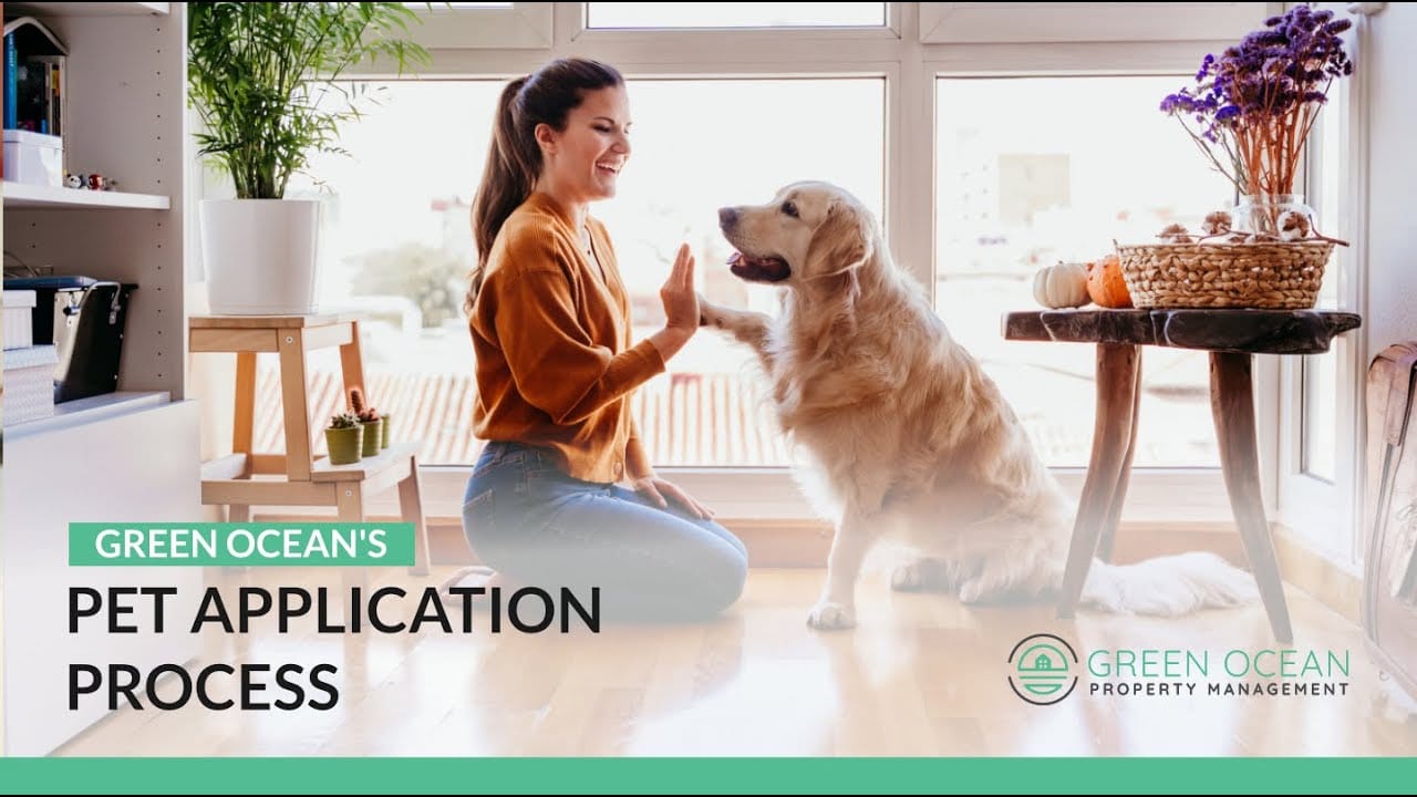 Pet Application Process Explained Green Ocean Property Management