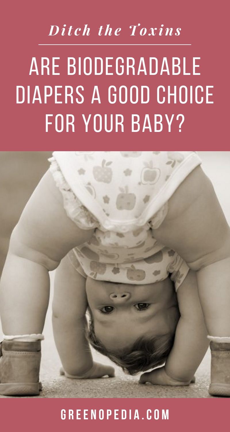 How to Compost Biodegradable Diapers Greenopedia
