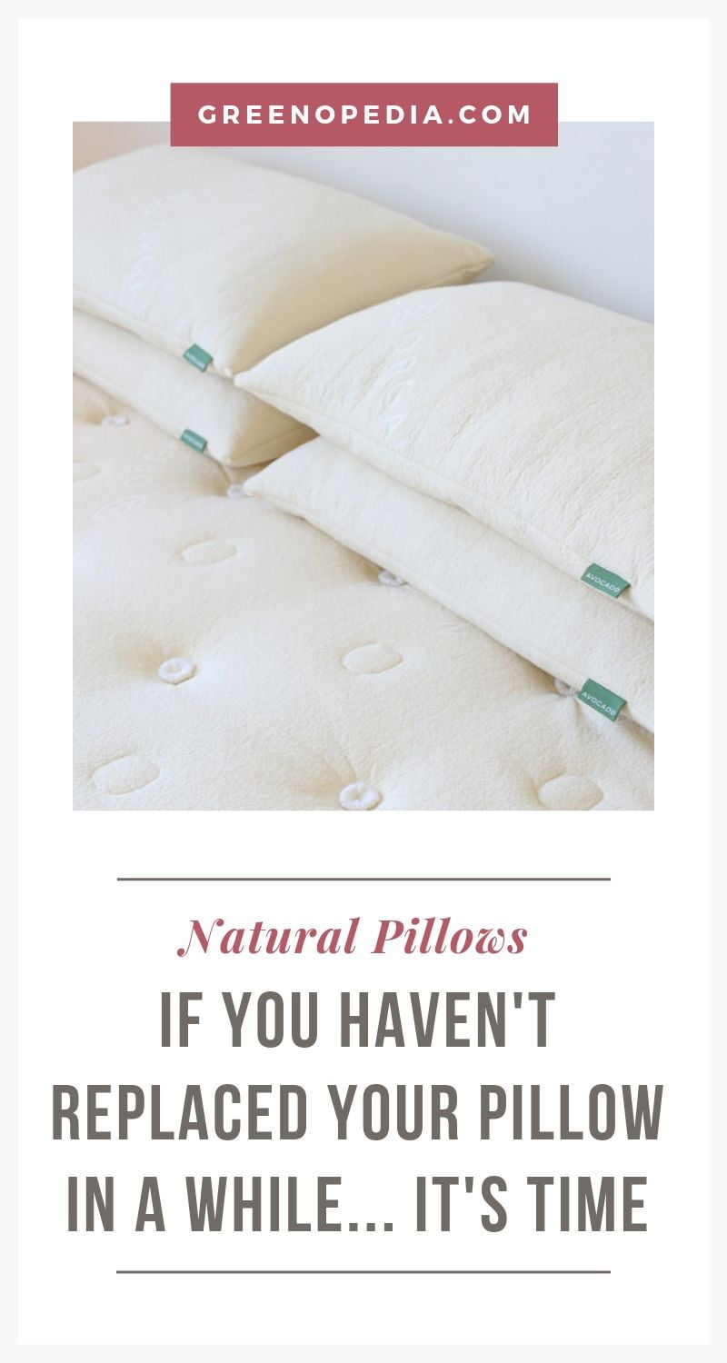 How To Find the Best Natural Pillow for a Healthier Sleep Greenopedia