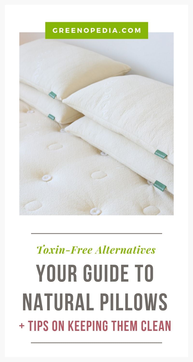 How To Find the Best Natural Pillow for a Healthier Sleep Greenopedia