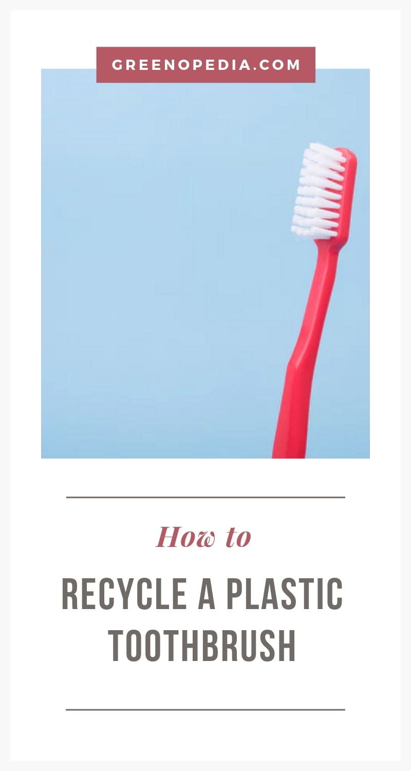 How to Recycle a Plastic Toothbrush Greenopedia