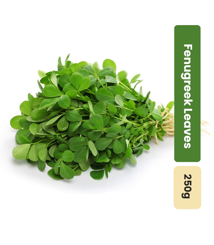 Fresh Fenugreek Leaves Methi leaves GreenOranges