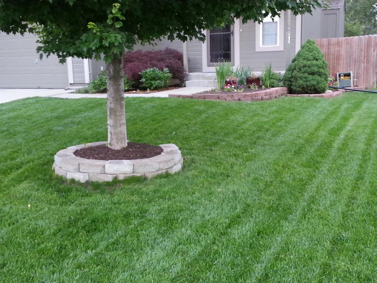 Bergstrom Lawn Care Lawn Care Services in Liberty, MO