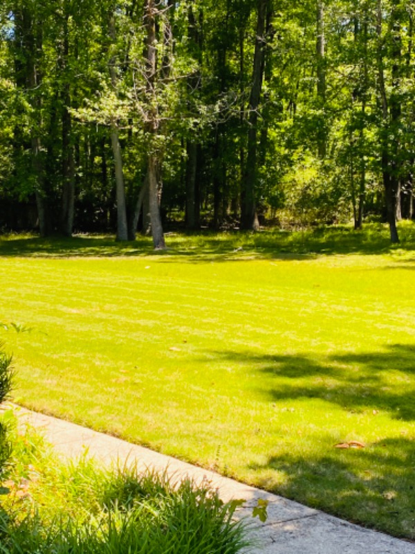 Glo Green Lawn Care Lawn Care Services in Columbus, GA