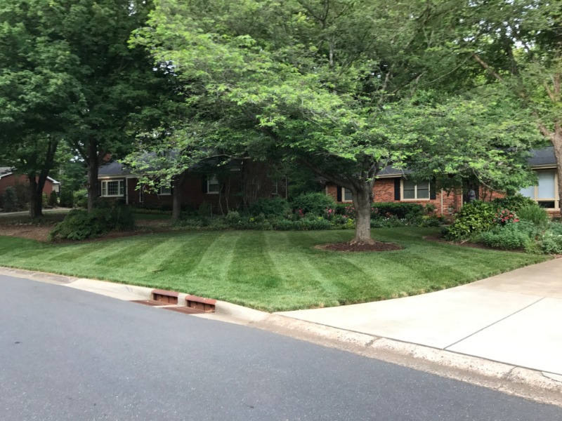 Ballantyne Lawn Lawn Care Services in Charlotte, NC