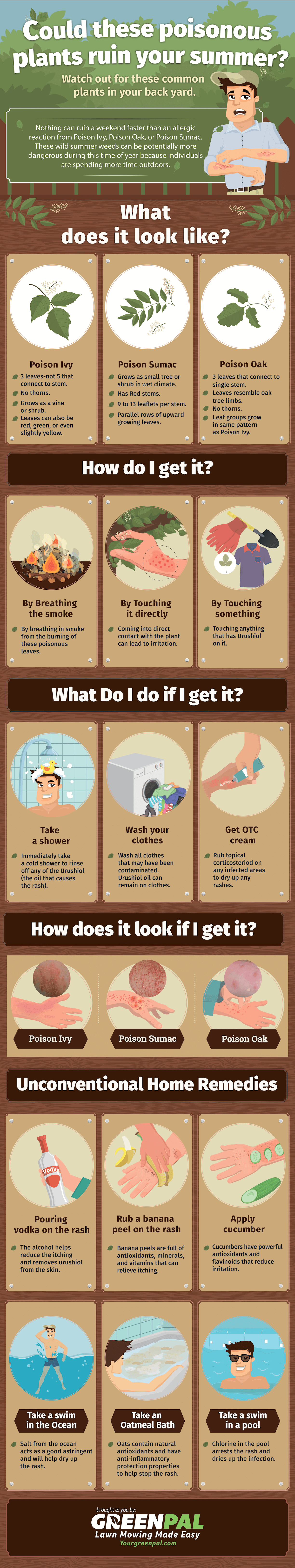 How to identify, treat and avoid poisonous plants. An Illustrated