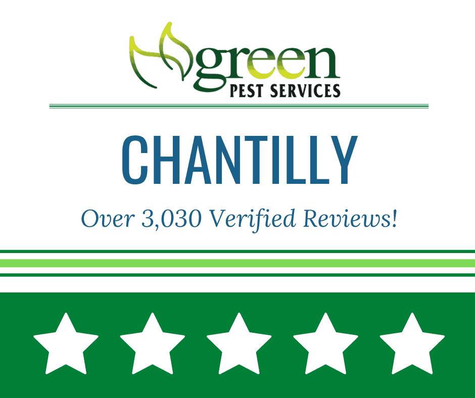 2 Green Pest Services