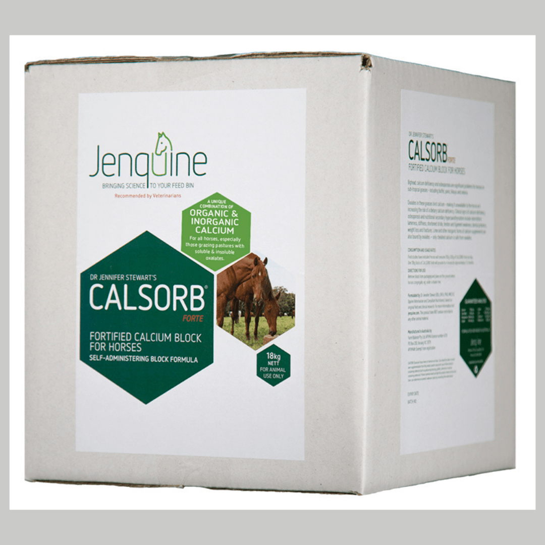 Calsorb Forte Lick Block For Horses Greenpet