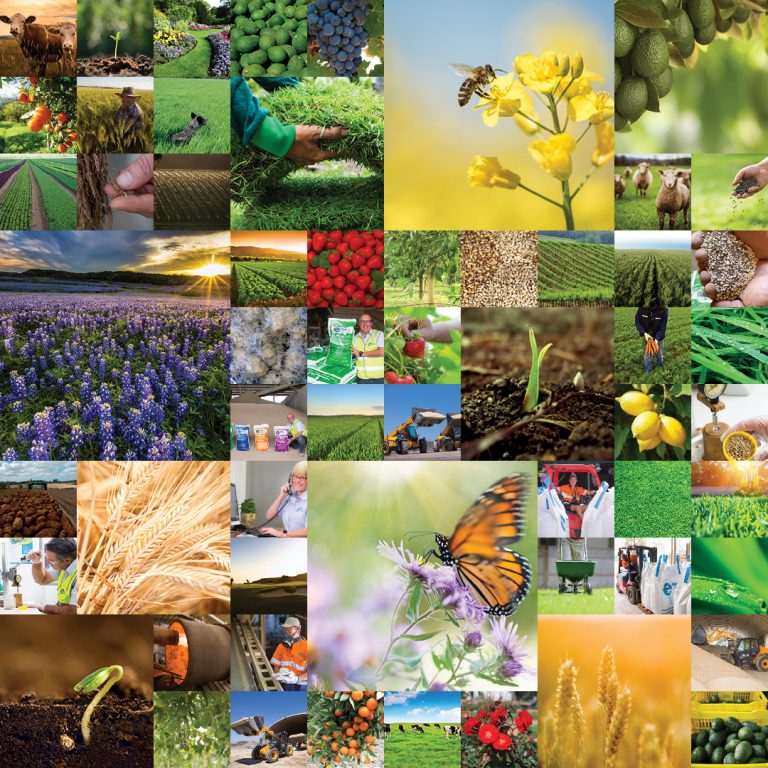 The Best Fertiliser for Indoor Plants, Lawn Care, and more