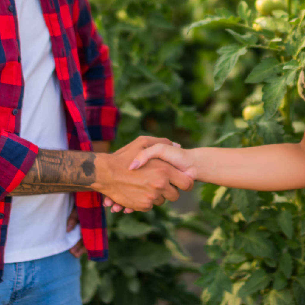 Choose a Good Produce Supplier GreenPoint