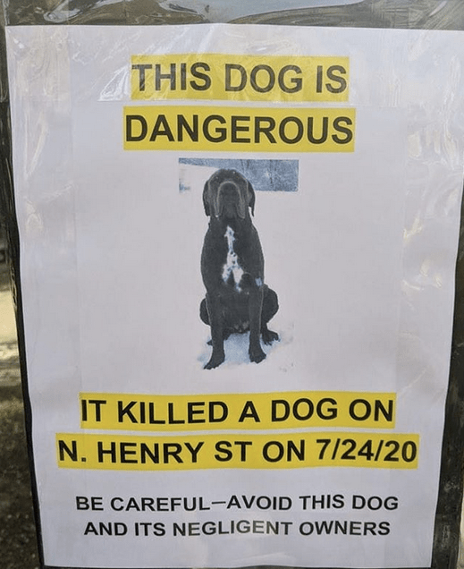 pet cremation brooklyn