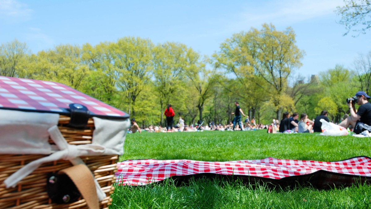 Packing the Perfect Greenpoint Picnic Greenpointers