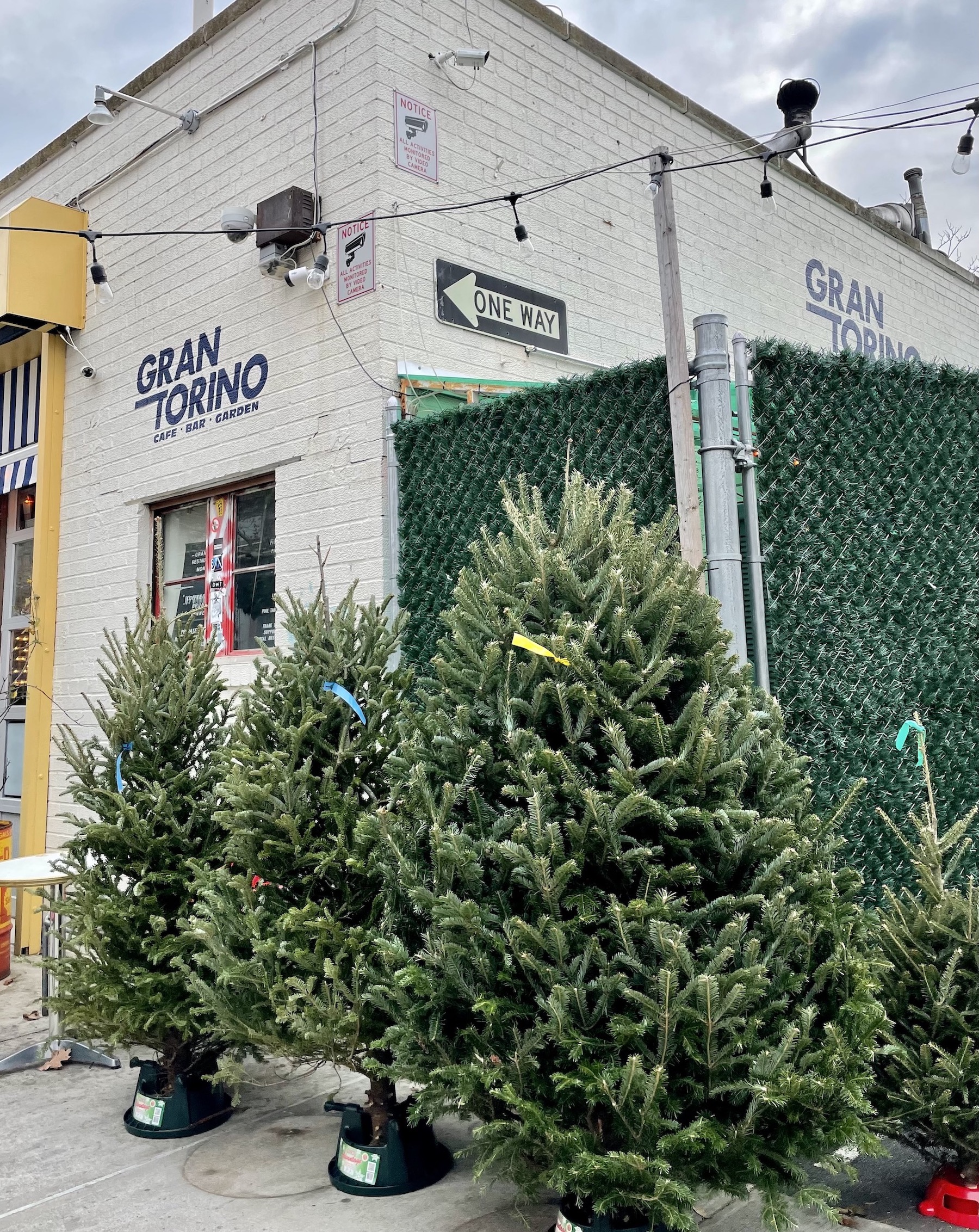 Greenpoint This Week Covid Exposures, Christmas Trees and More