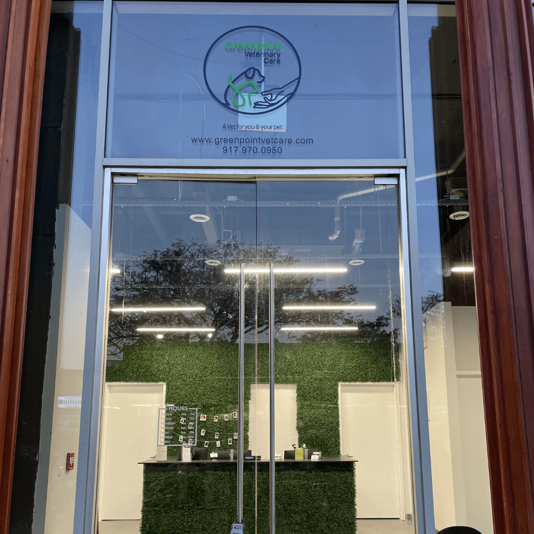 Greenpointvetfrontdoor Greenpointers
