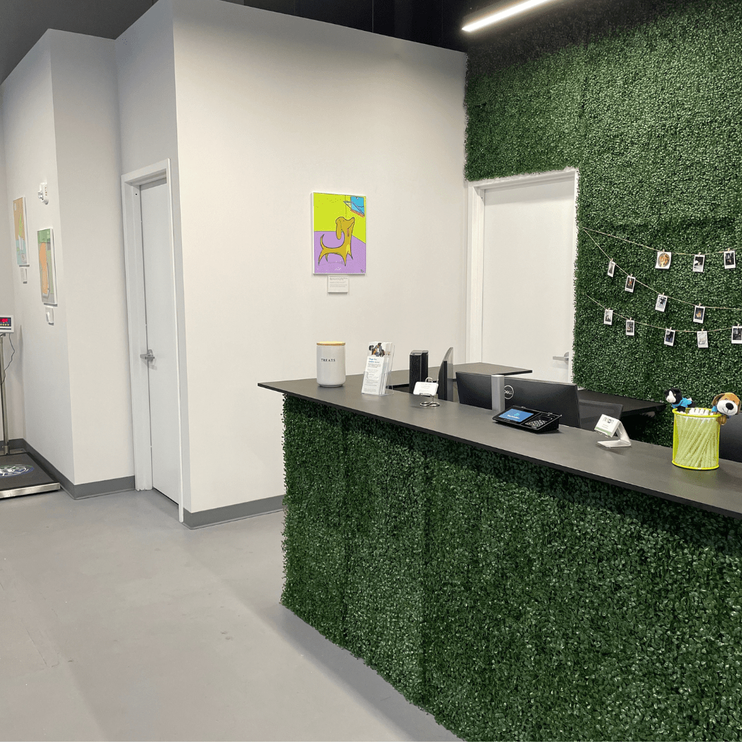 GreenpointvetofficeLview Greenpointers