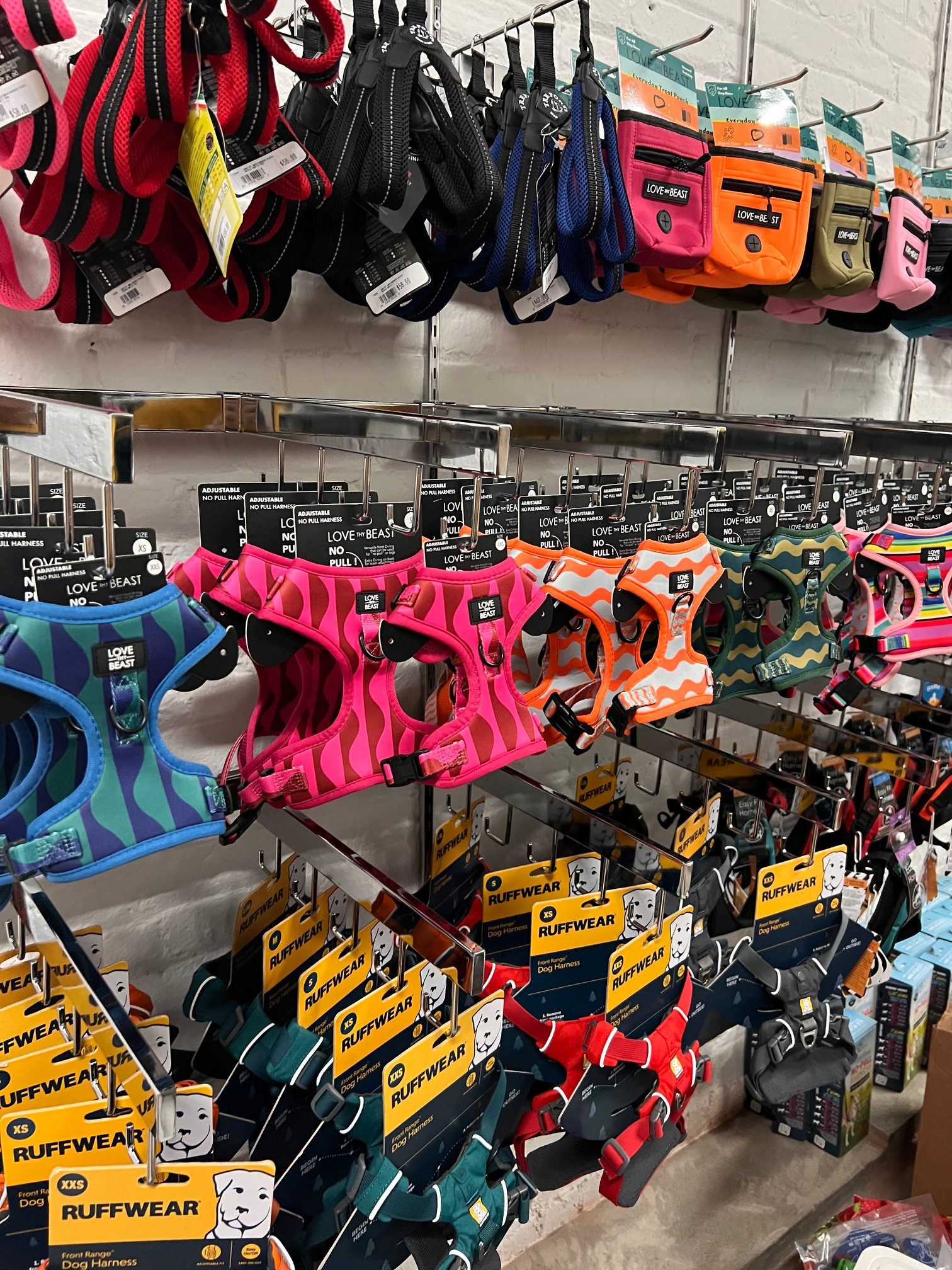 LoveThyBeast, a New Pet Store, Opening in Williamsburg Greenpointers