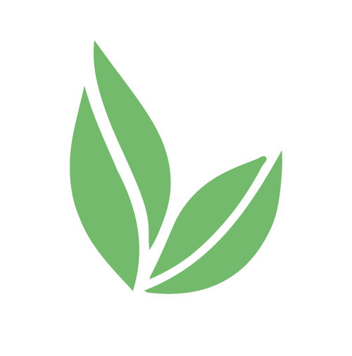 Green Pot Tea • Matcha Latte Premix • Inhouse food development