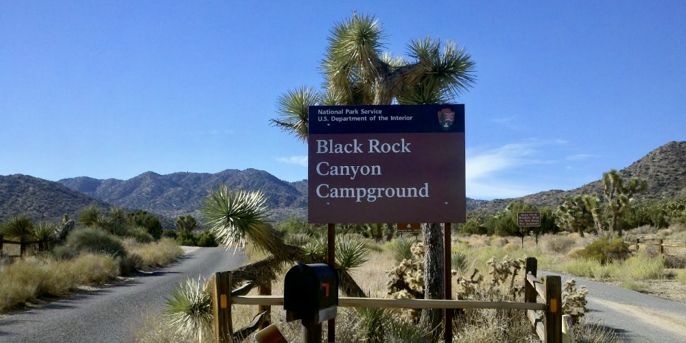 Yucca Valley Green Real Estate Group