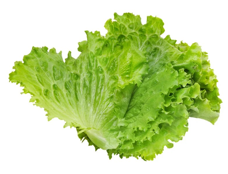 Oxalates In Spinach and Other Leafy Greens Can Oxalic Acid In Green