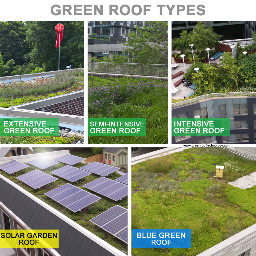 Green Roof Finder Green Roof Technology
