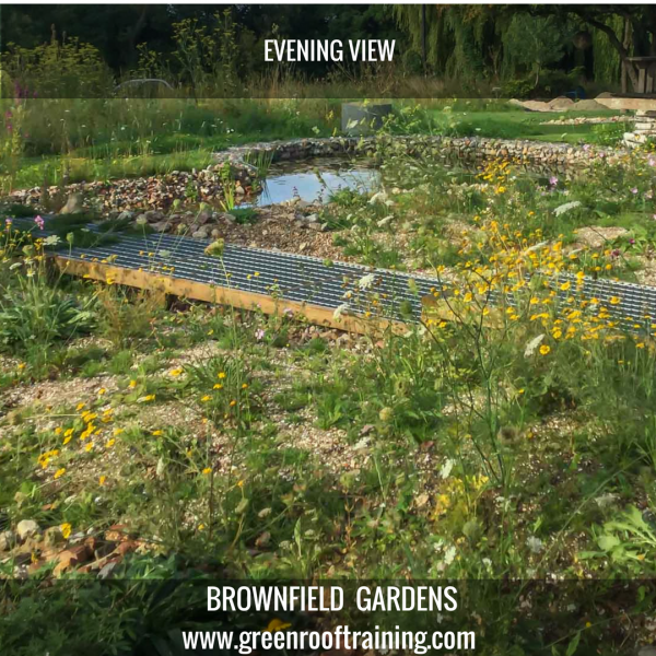 Beyond roofs Brownfield gardening