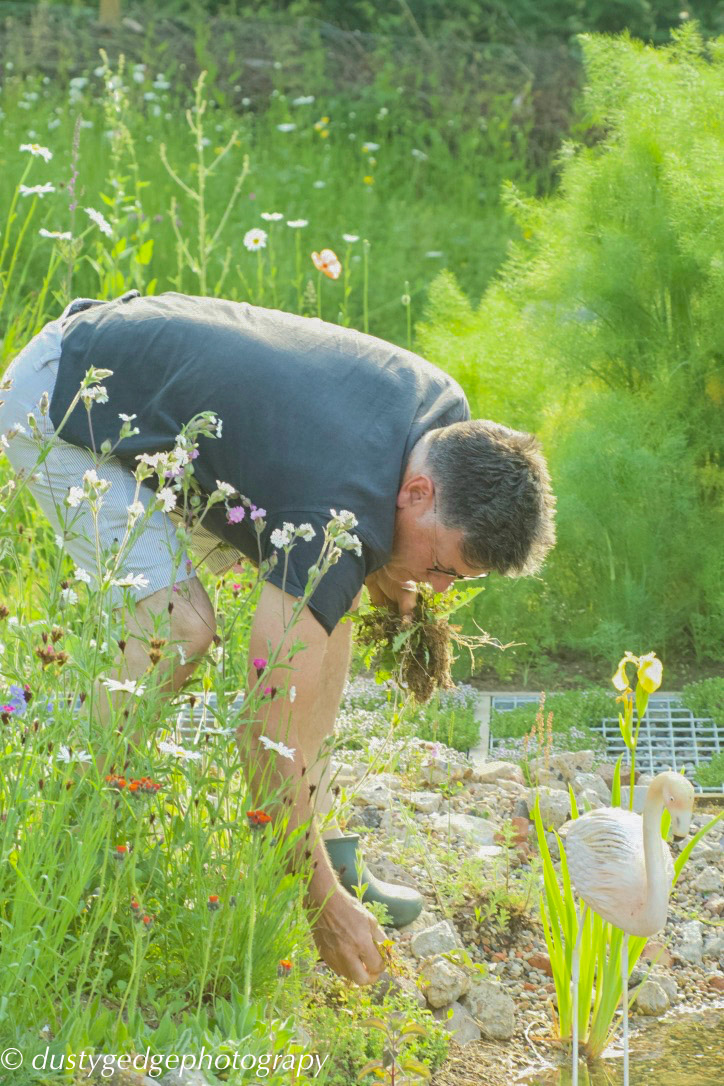 Making brownfield gardens part of urban landscapes