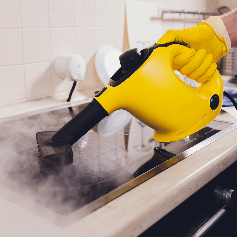 Steam Cleaner - Green Roots Botanicals Cleaning Service