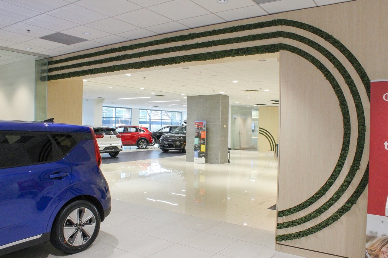 Curved Preserved Moss Wall // Car Dealership Greenscape Design & Decor