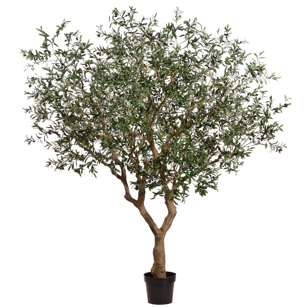Olive Tree Synthetic Trunk Greenscape Design & Decor