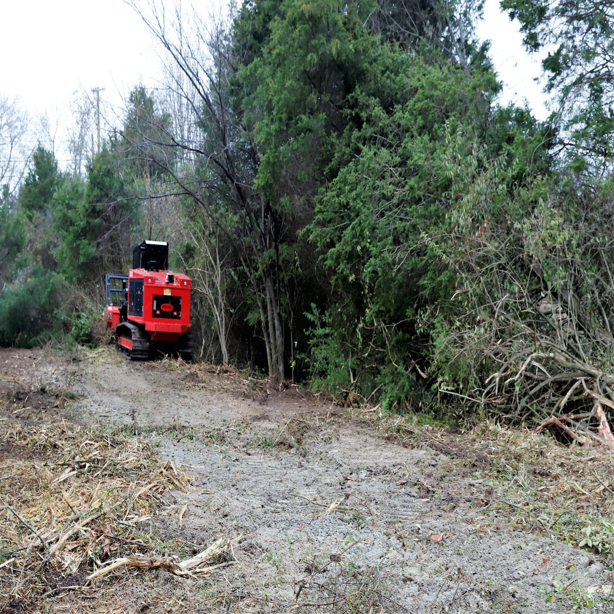 Land Clearing GreenScapes Louisville, KY & So. Indiana