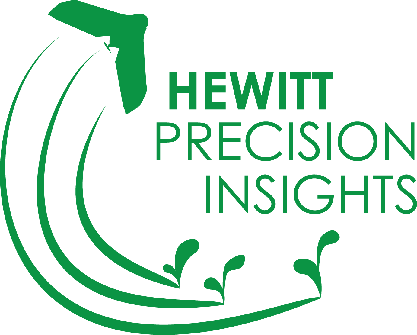 Hewitt Precision Insights GreenSeam