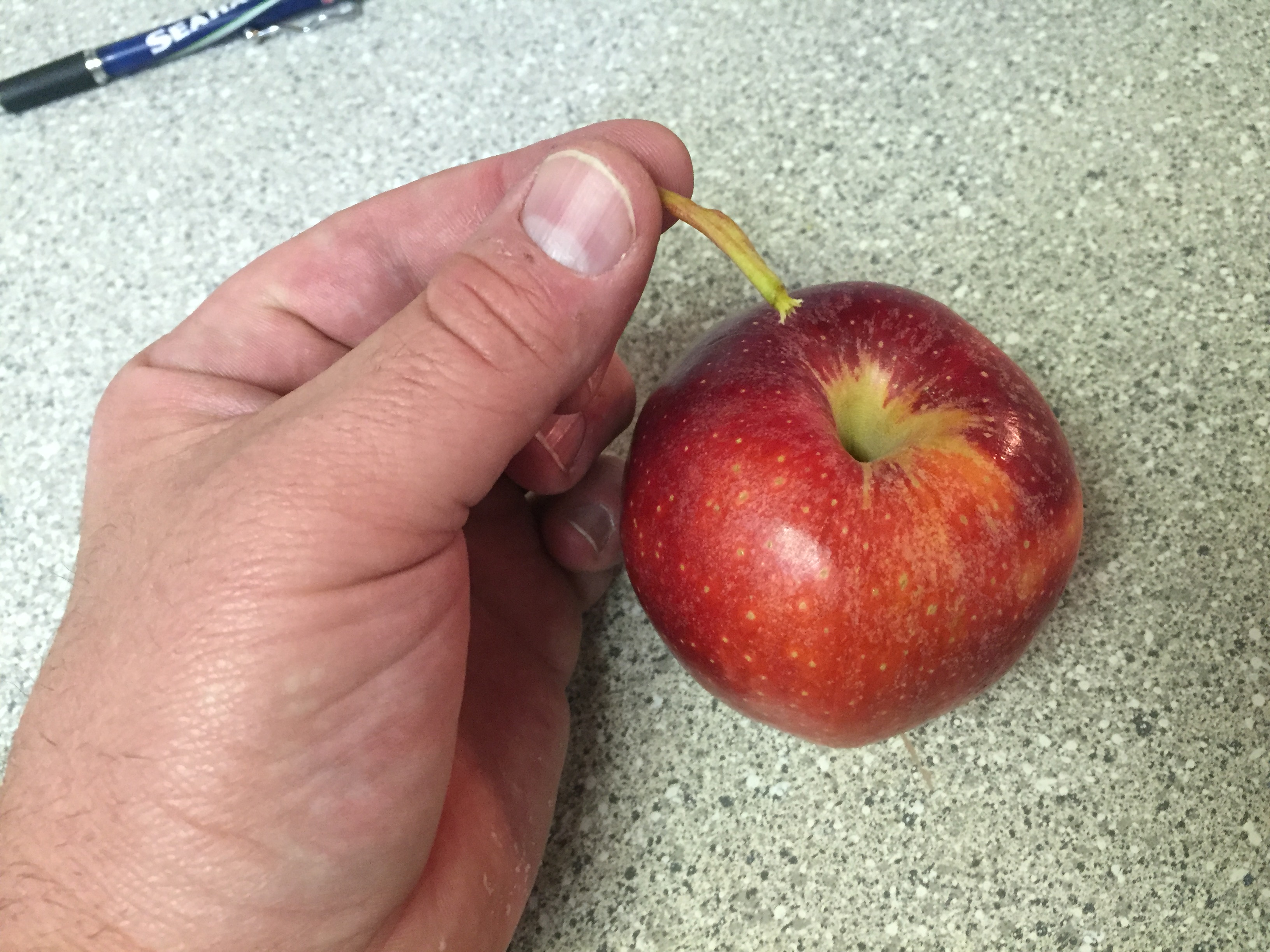 How to make and apple pipe