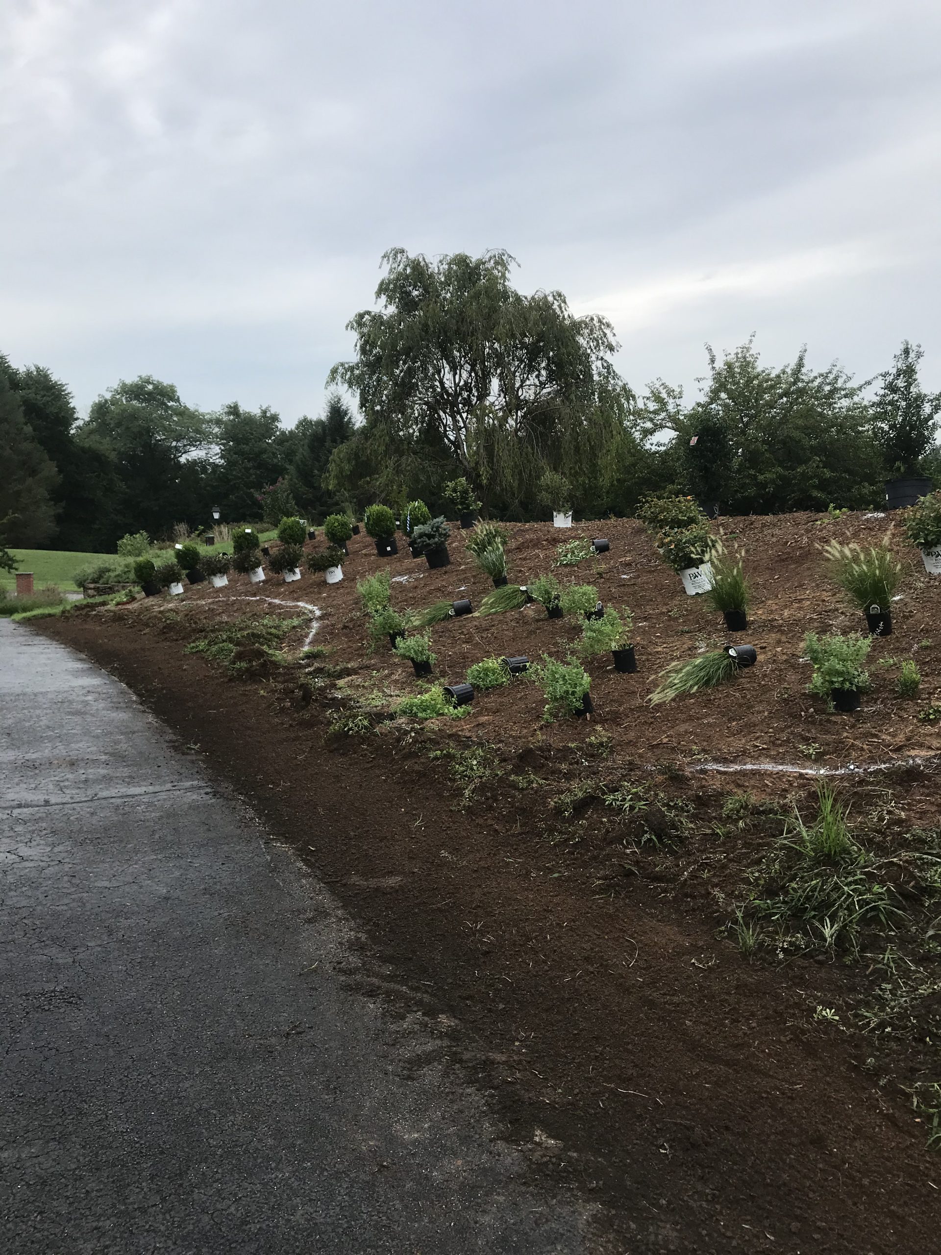 Landscape Design Greenspring Nursery & Stone