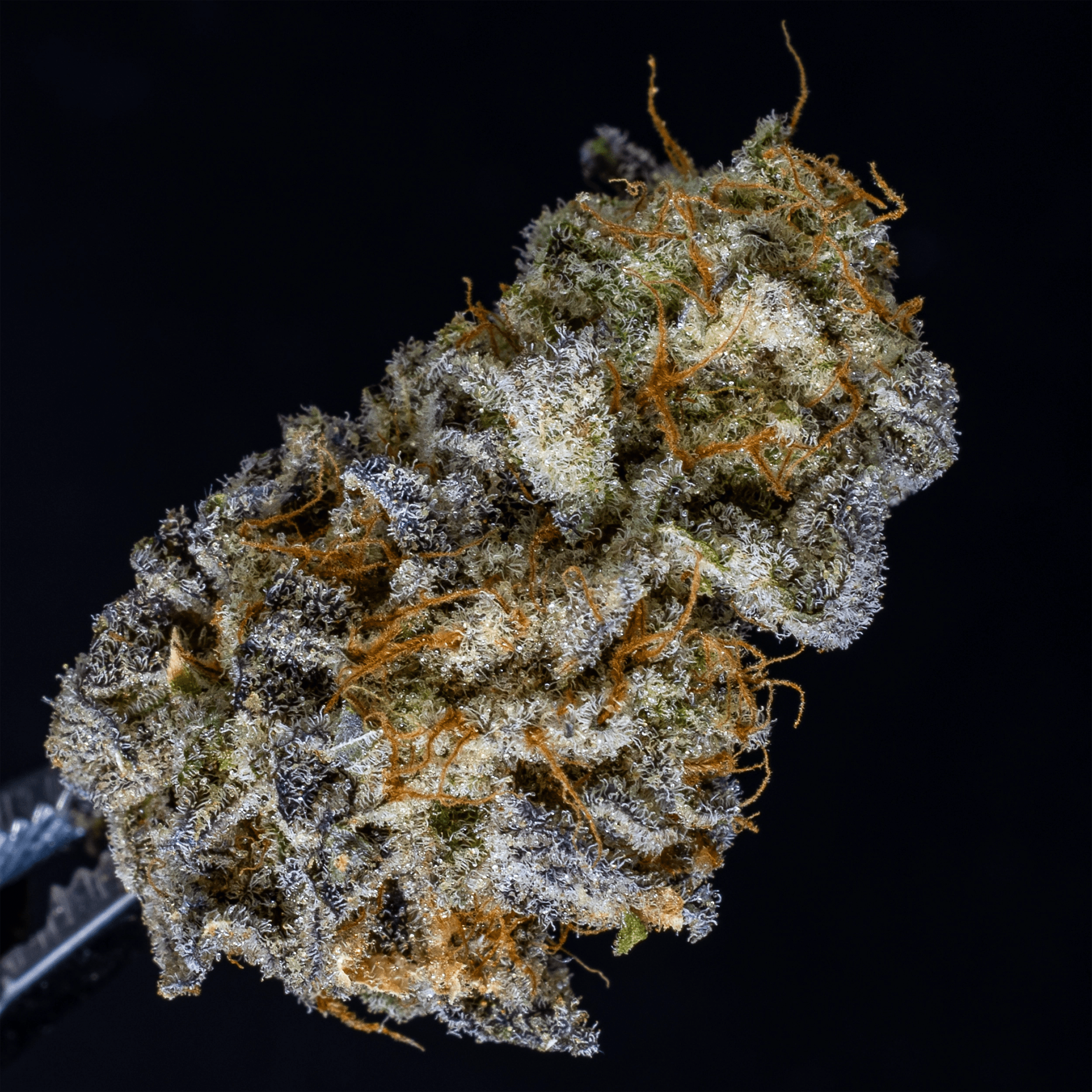 Upstate Elevator Operators Strains Green State Dispensary