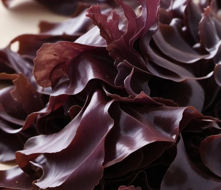 The Numerous Benefits of Dulse Seaweed Green Suburb