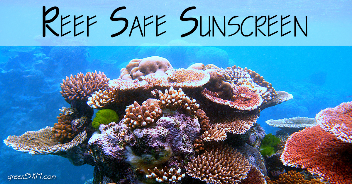 Reef Safe Sunscreen Protect Our Reefs and Your Skin Green SXM