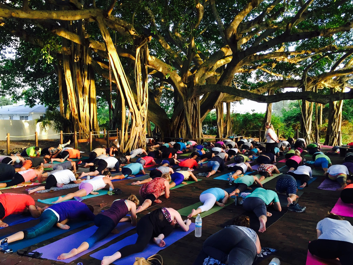 Lighthouse Yoga Green Tara Yoga