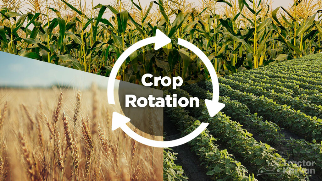 Crop Rotation Practice for Sustainable Farming Guide