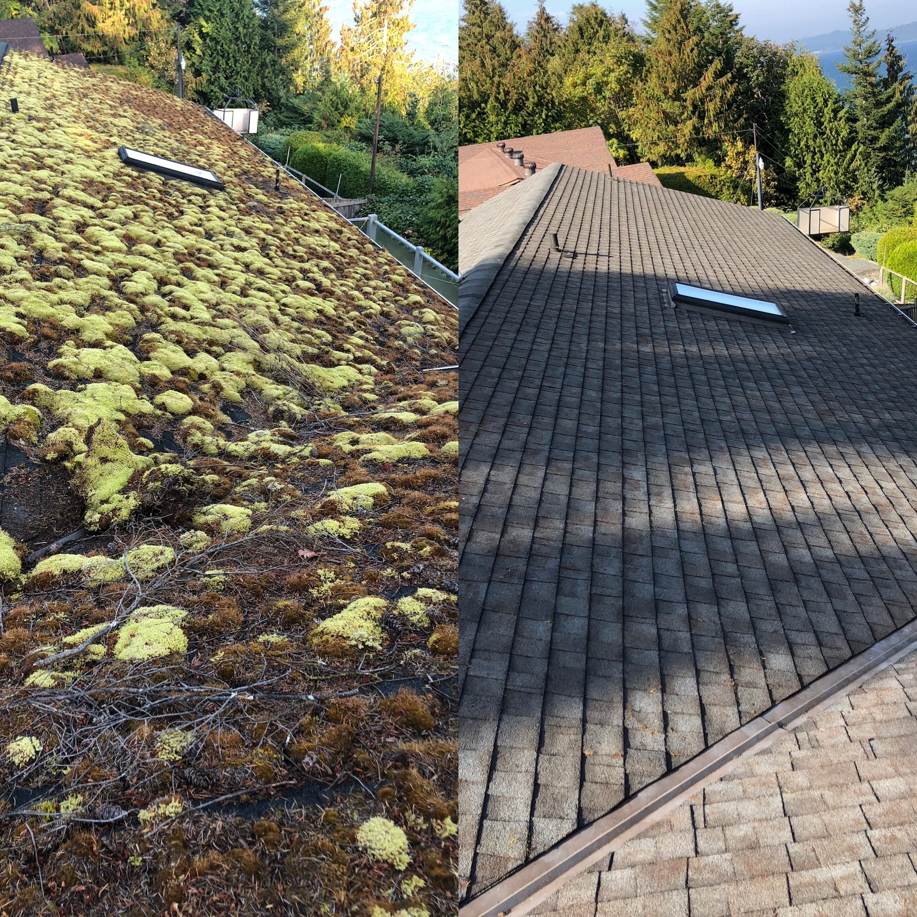 Top 3 Reasons To Have Your Roof Cleaned & Treated Green Tech Property