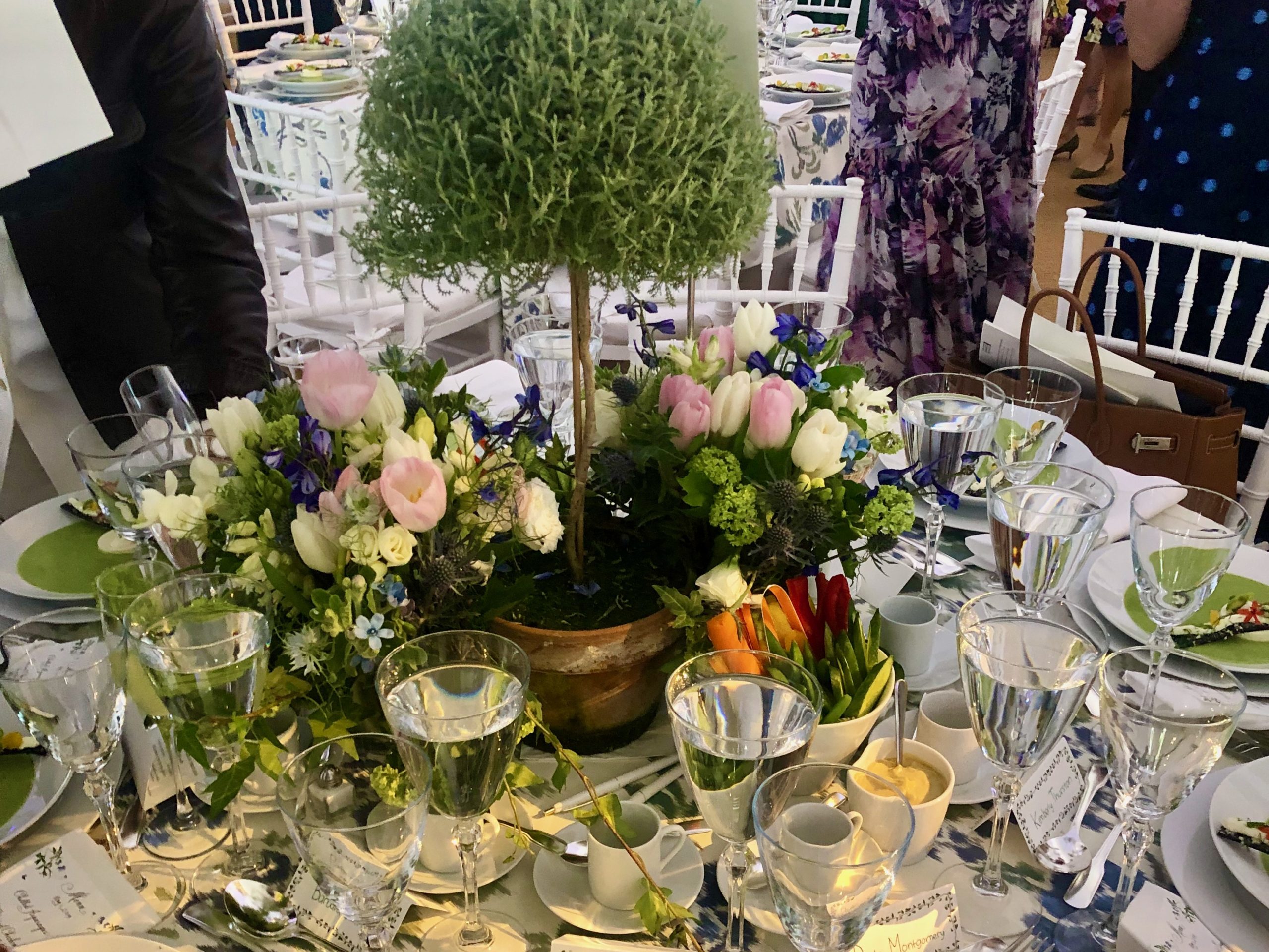 Your Guide for Eco Friendly Party Supplies to Make Any Party Green