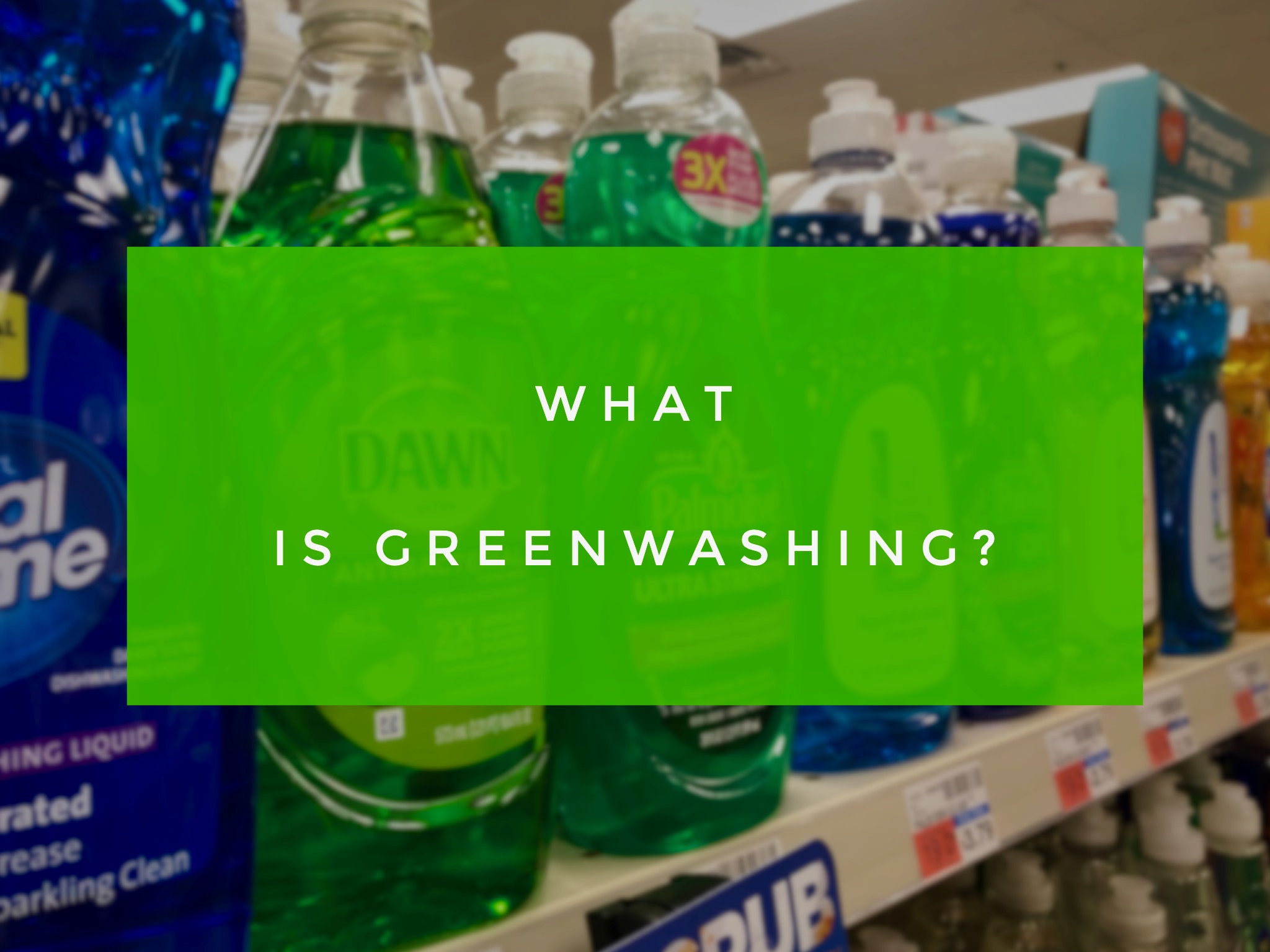 What is Greenwashing? 5 Ways to Avoid it Green That Life