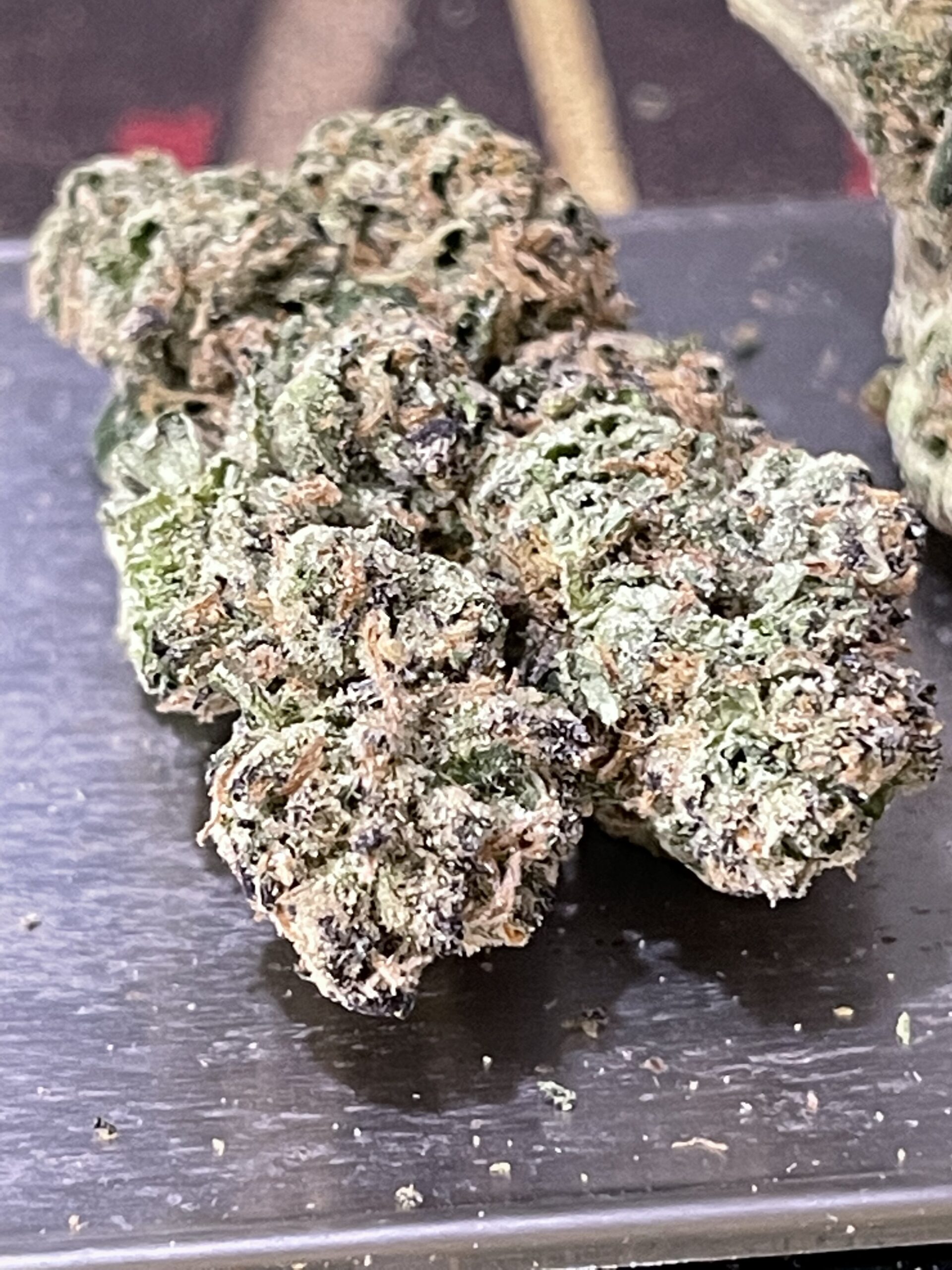 Ice Cream Runtz (Indoor) Green Therapy NYC