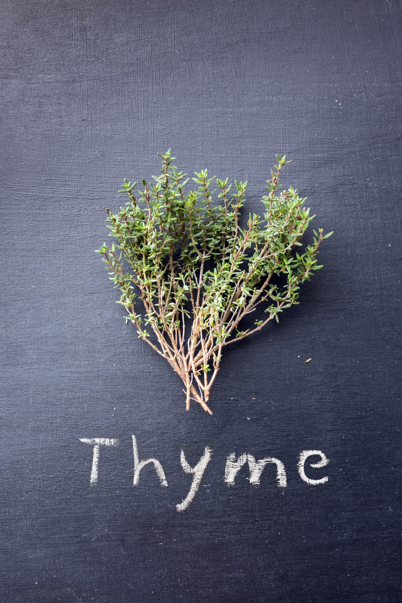 How to Grow Thyme. The Important Stuff at a Glance