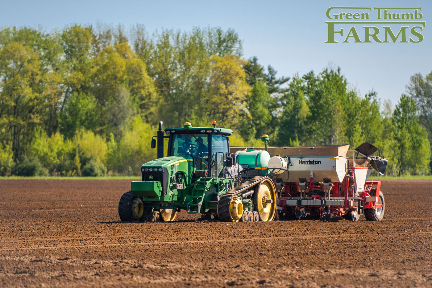 Potatoes Green Thumb Farms