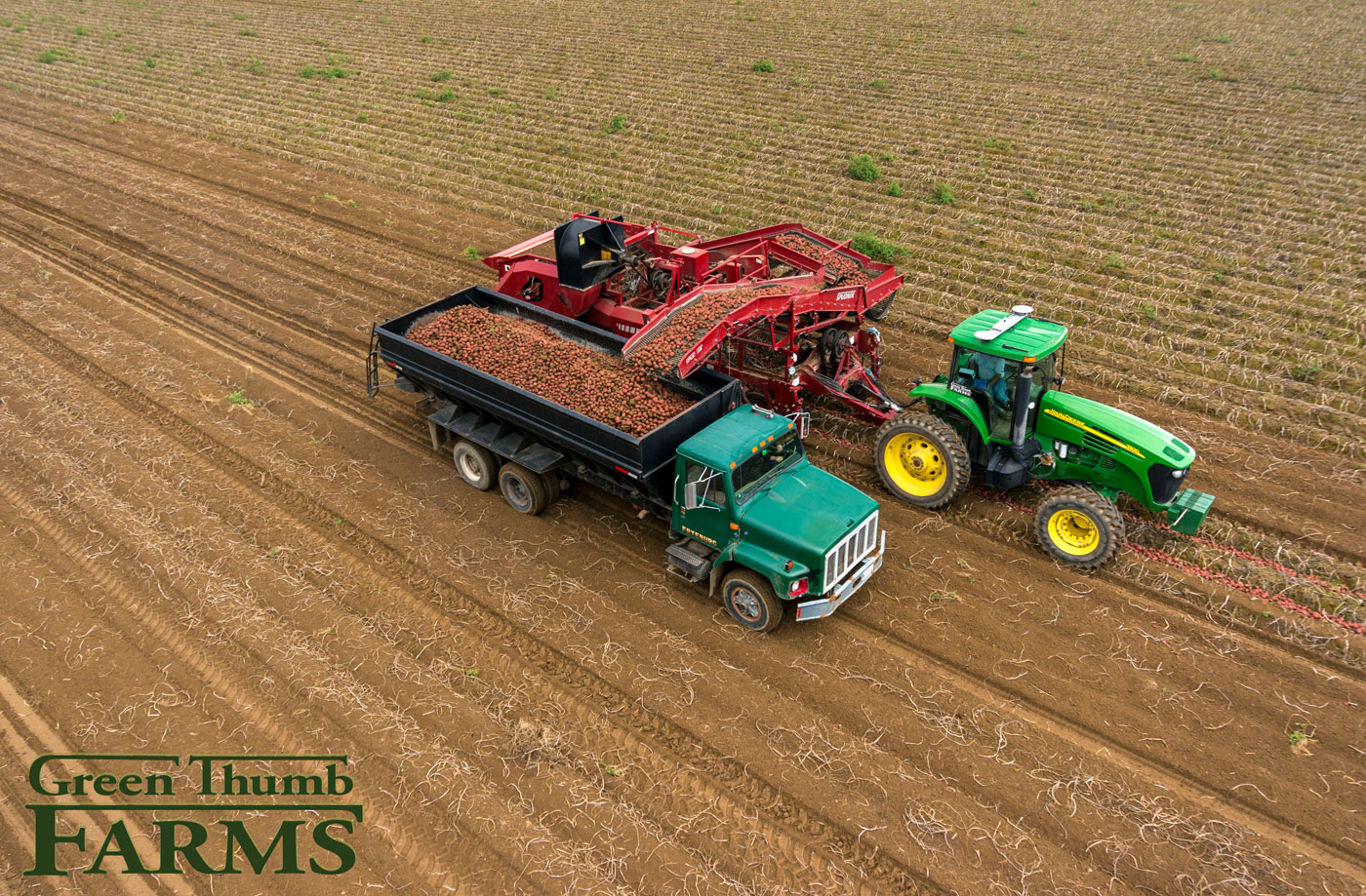 Potatoes Green Thumb Farms