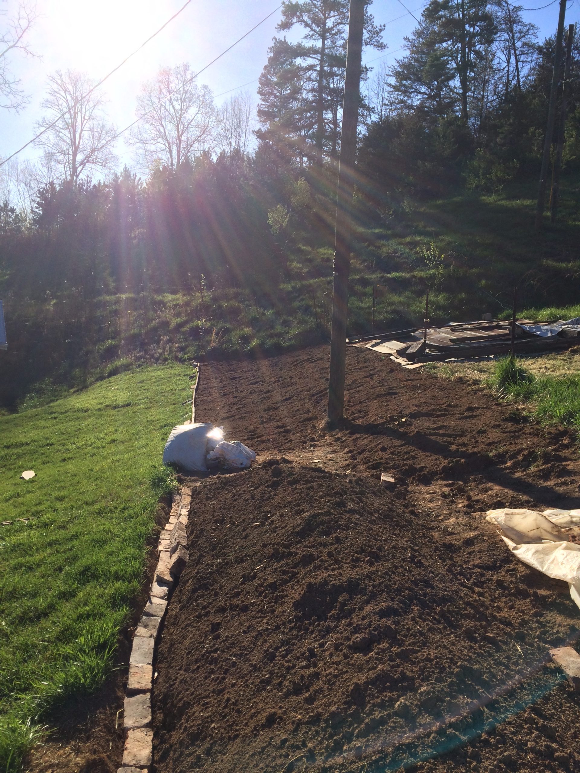 Tilling and Raking Your Own Mounded Beds Green Thumb Gardening Secrets