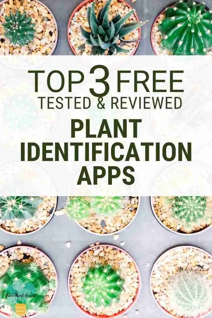 3 Best Free Plant Identification Apps [Tested & Reviewed] Green Thumb