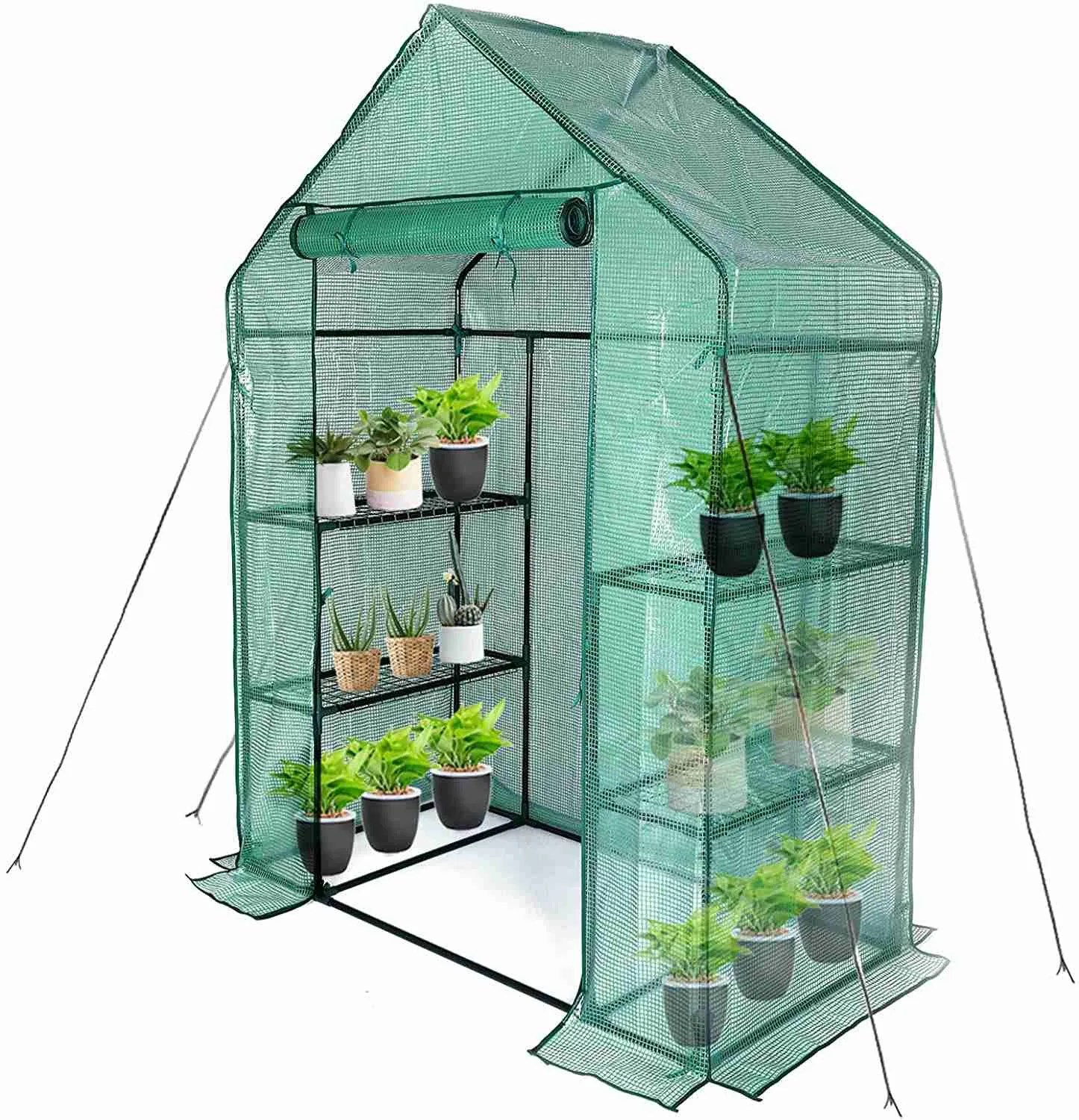 5 Best Indoor Greenhouses Of 2022 We Tested Them! Green Thumb Revival