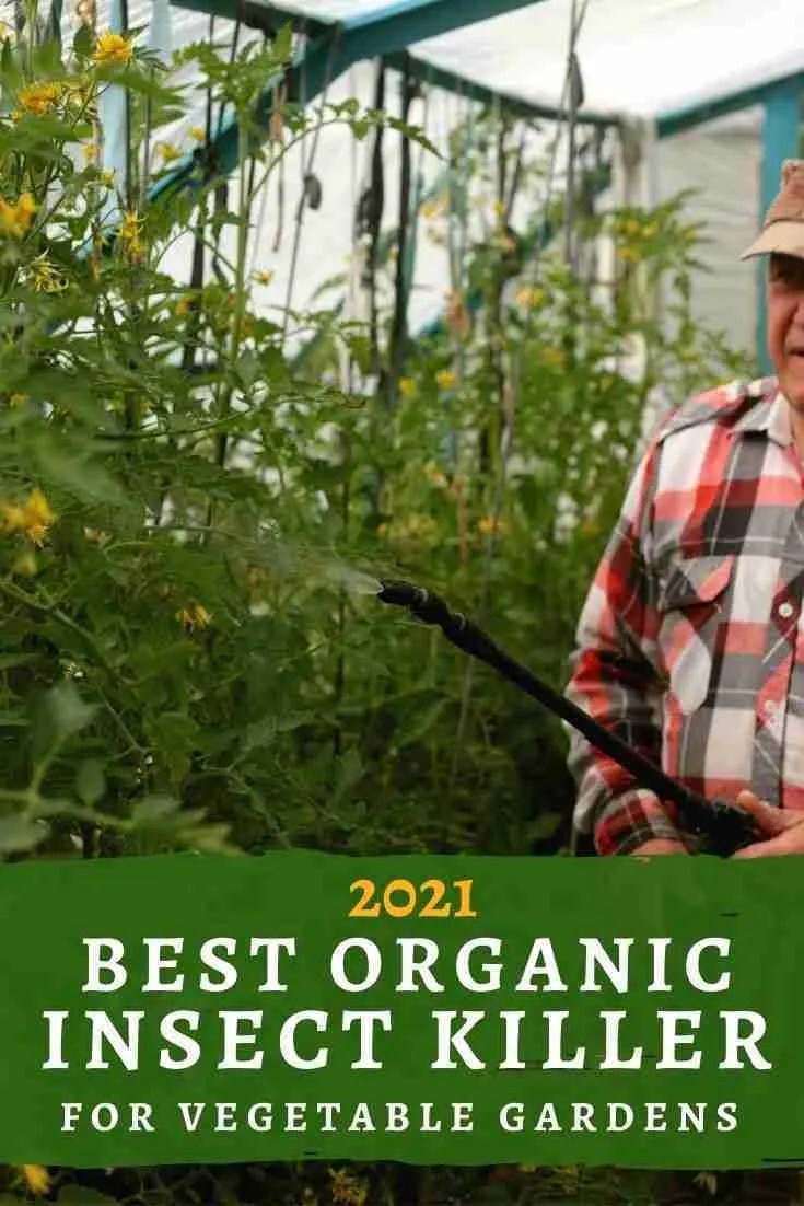 The Best Insect Killers For A Vegetable Garden In 2022 Green Thumb