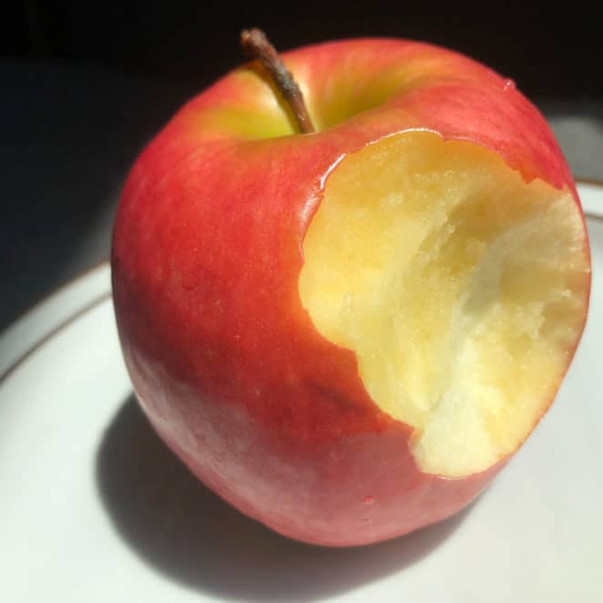 Delicious Ways to Use Mealy Apples GreenThumbsGuide